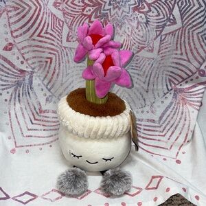 Russ gresnhouse echinacea Flowers plush please see pictures